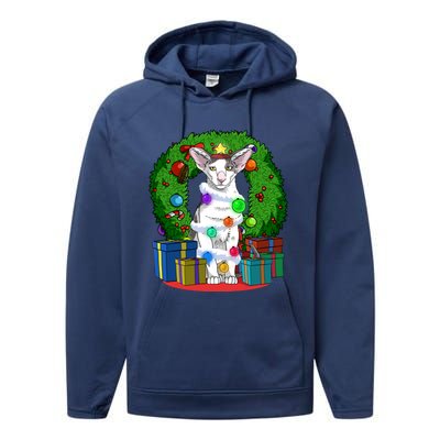 Oriental Shorthair Cat Christmas Tree Xmas Santa Gift Performance Fleece Hoodie