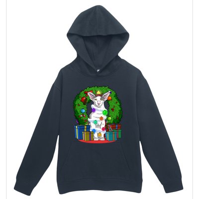 Oriental Shorthair Cat Christmas Tree Xmas Santa Gift Urban Pullover Hoodie