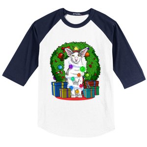 Oriental Shorthair Cat Christmas Tree Xmas Santa Gift Baseball Sleeve Shirt