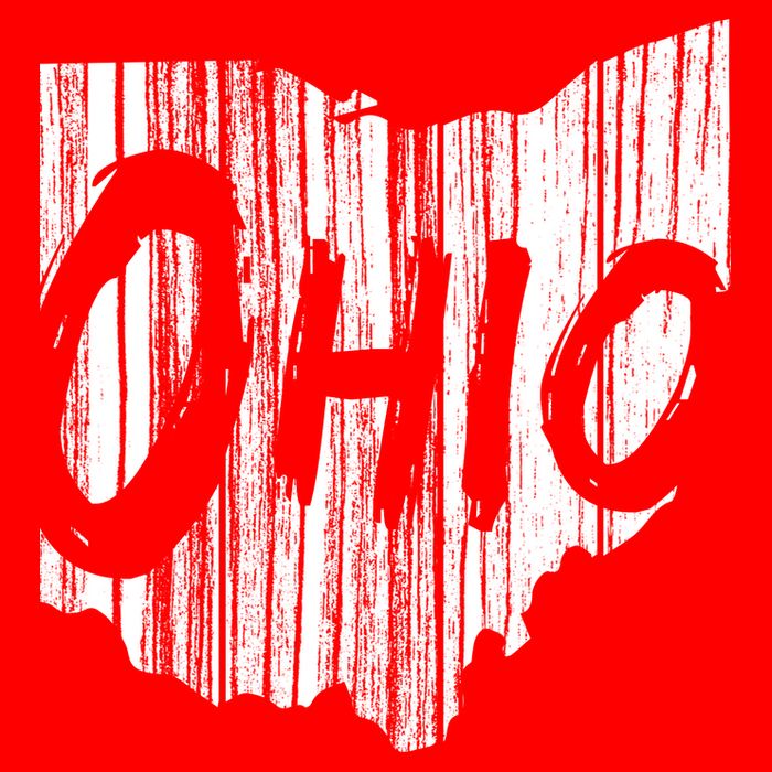 Ohio State Distressed 16 in Basic Backpack