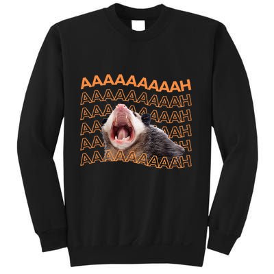 Opossum Screaming Funny Possum Trash Cat Meme Sweatshirt