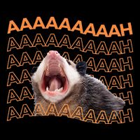 Opossum Screaming Funny Possum Trash Cat Meme 16 in Basic Backpack