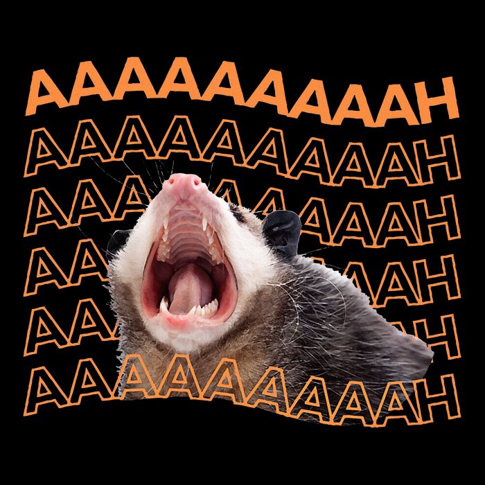Opossum Screaming Funny Possum Trash Cat Meme 16 in Basic Backpack