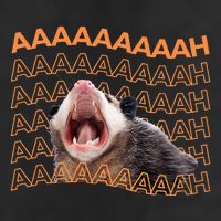Opossum Screaming Funny Possum Trash Cat Meme Microfiber Hand Towel