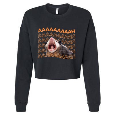 Opossum Screaming Funny Possum Trash Cat Meme Cropped Pullover Crew