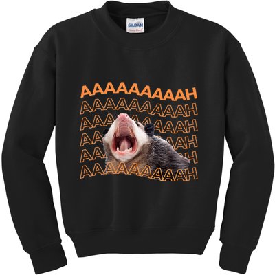 Opossum Screaming Funny Possum Trash Cat Meme Kids Sweatshirt