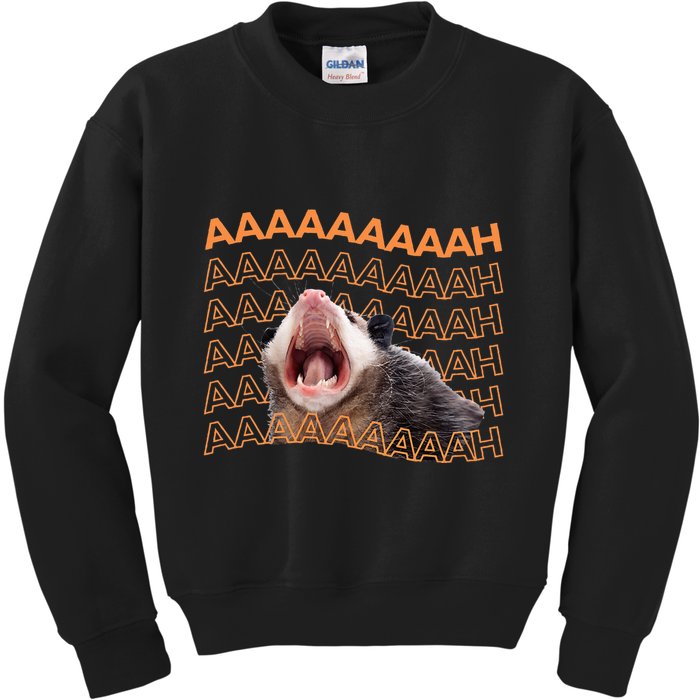 Opossum Screaming Funny Possum Trash Cat Meme Kids Sweatshirt