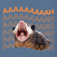 Opossum Screaming Funny Possum Trash Cat Meme Garment-Dyed Sweatshirt