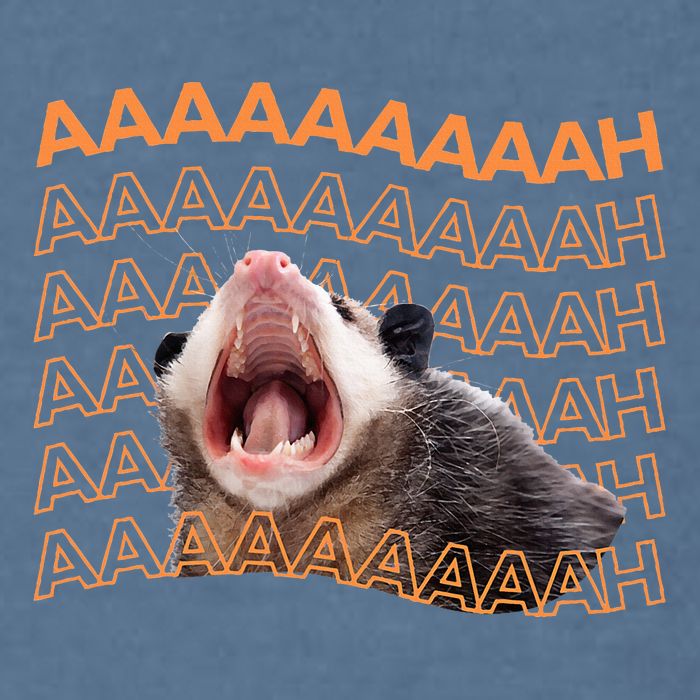 Opossum Screaming Funny Possum Trash Cat Meme Garment-Dyed Sweatshirt