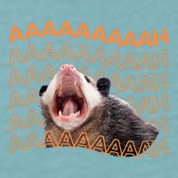 Opossum Screaming Funny Possum Trash Cat Meme Sueded Cloud Jersey T-Shirt