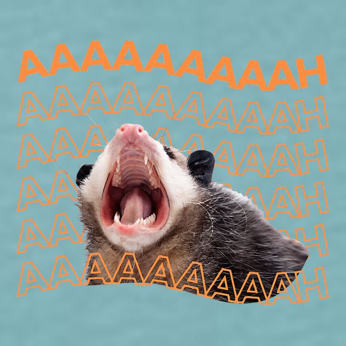 Opossum Screaming Funny Possum Trash Cat Meme Sueded Cloud Jersey T-Shirt
