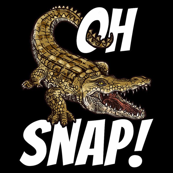 Oh Snap Funny Alligator Gator Crocodile Graphic Adults 16 in Basic Backpack