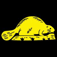 Oregon State Flag Beaver Visor