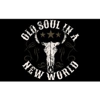 Old Soul In A New World Country Bluegrass Music Guitar Bumper Sticker