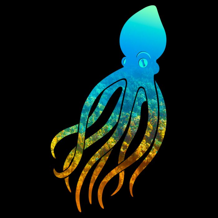 Octopus Squid Lovers Silhouette Earth Day And Ocean Week Gift Women's Perfect Tri Rocker Tank