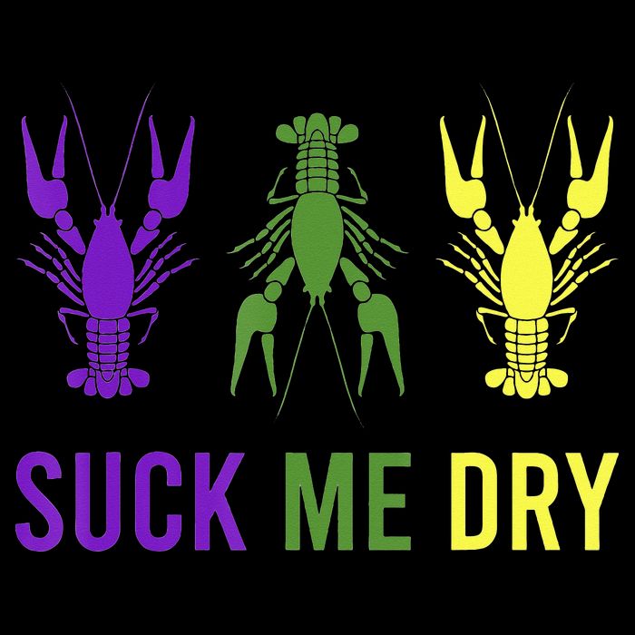 Outfit Suck Me Dry Crawfish Dirty Adult Humor Mardi Gras Womens T-Shirt