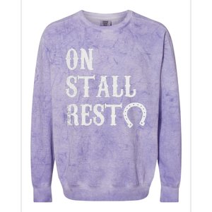 On Stall Rest Horse Colorblast Crewneck Sweatshirt