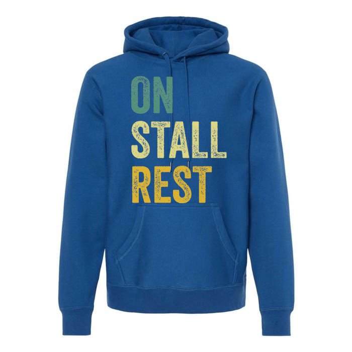 On Stall Rest Horse Premium Hoodie