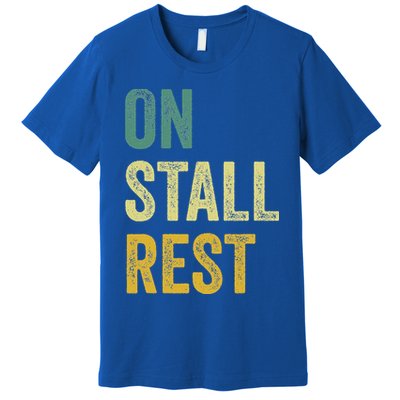 On Stall Rest Horse Premium T-Shirt