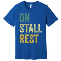 On Stall Rest Horse Premium T-Shirt