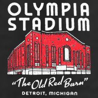 Olympia Stadium The Old Red Burn Detroit Michigan 7 Panel Mesh Trucker Snapback Hat