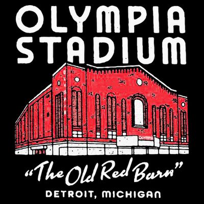 Olympia Stadium The Old Red Burn Detroit Michigan T-Shirt