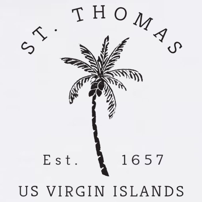 Original St. Thomas Virgin Islands Palm Tree Novelty Art Cooling Performance Crew T-Shirt