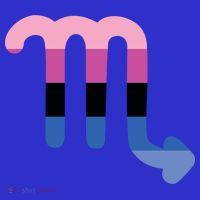 Omnisexual Scorpio Zodiac Sign Omnisexual Pride Flag Cool Gift Poster