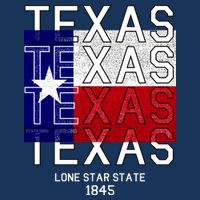 Original Texas 1845 Logo Flatbill Hat