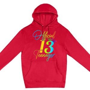 Office Teenager 13 Years Old 13th Birthday Gifts Premium Pullover Hoodie