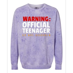 O.fficial Teenager 13th Birthday Celebration Colorblast Crewneck Sweatshirt