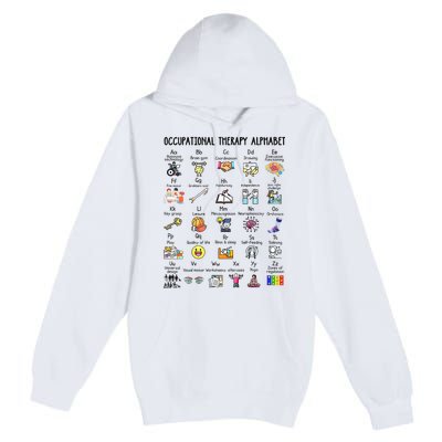 Occupational Therapy Alphabet OT Therapist Teacher Assistant Premium Pullover Hoodie