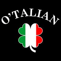 O'Talian Italian Irish Shamrock St. Patrick's Day Pom Pom 12in Knit Beanie