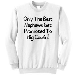 Only The Best Nephews Get Promoted To Big Cousin Sweatshirt