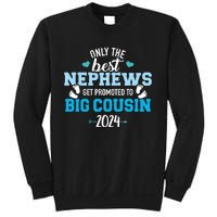 Only The Best Nephews Get Promoted To Big Cousin 2024 Sweatshirt