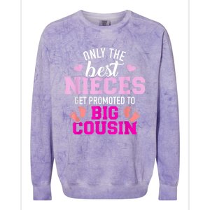 Only The Best Nieces Get Promoted To Big Cousin Colorblast Crewneck Sweatshirt