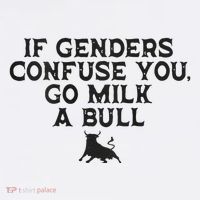 On The Back If Genders Confuse You Go Milk A Bull Meme Poster