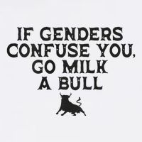 On The Back If Genders Confuse You Go Milk A Bull Meme Wool Snapback Cap