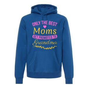 Only The Best Moms Get Promoted To Grandma New Grandma Gift Premium Hoodie