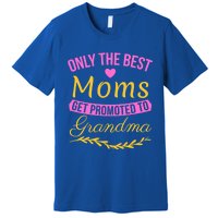 Only The Best Moms Get Promoted To Grandma New Grandma Gift Premium T-Shirt