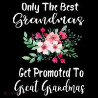 Only The Best Grandmas Get Promoted To Great Grandma Wool Snapback Cap