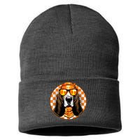 Orange Tennessee Hound College Football Sports Fan Sustainable Knit Beanie