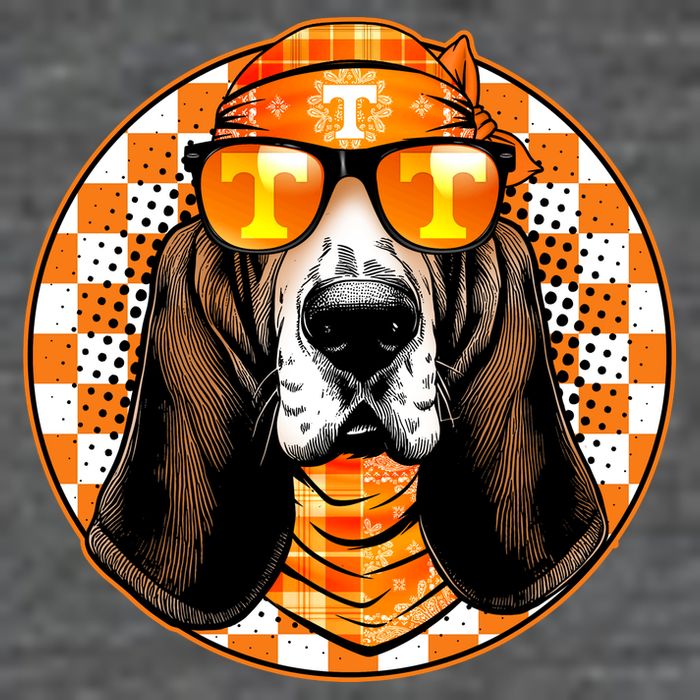 Orange Tennessee Hound College Football Sports Fan Kids Hoodie