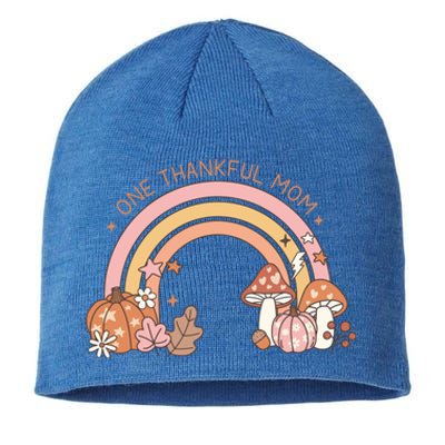 One Thankful Mom Thanksgiving Family Matching Rainbow Cute Gift Sustainable Beanie