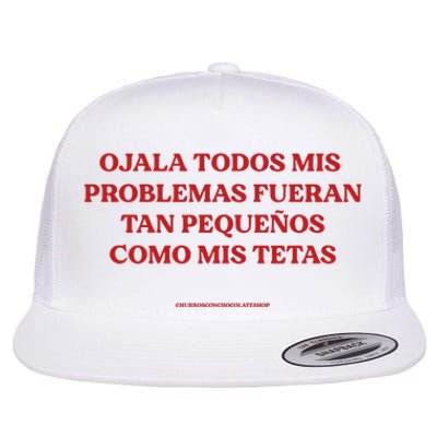 Ojala Todos Mis Problemas Fueran Tan Pequenos Como Mis Texas Flat Bill Trucker Hat