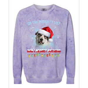 On The Naughty List And Great Pyrenees Santa Hat Christmas Gift Colorblast Crewneck Sweatshirt