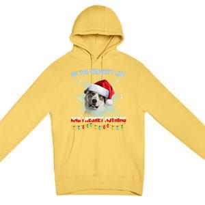 On The Naughty List And Great Pyrenees Santa Hat Christmas Gift Premium Pullover Hoodie