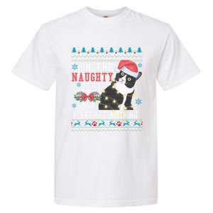 On The Naughty List And I Regret Nothing Cat Christmas Gift Cute Gift Garment-Dyed Heavyweight T-Shirt