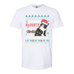 On The Naughty List And I Regret Nothing Cat Christmas Gift Cute Gift Softstyle CVC T-Shirt