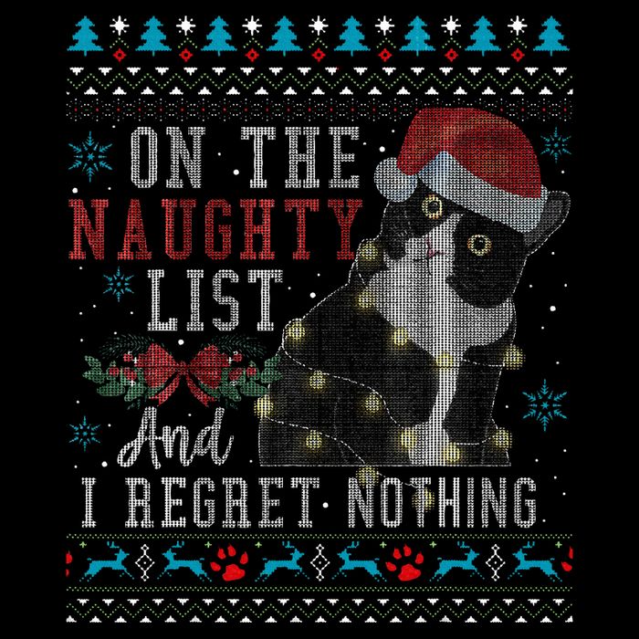 On The Naughty List And I Regret Nothing Cat Christmas Gift Wool Snapback Cap